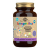 Kangavites Bouncing Berry Complete Multivitamin and Mineral Formula Chewable Tablets (4756437860411)